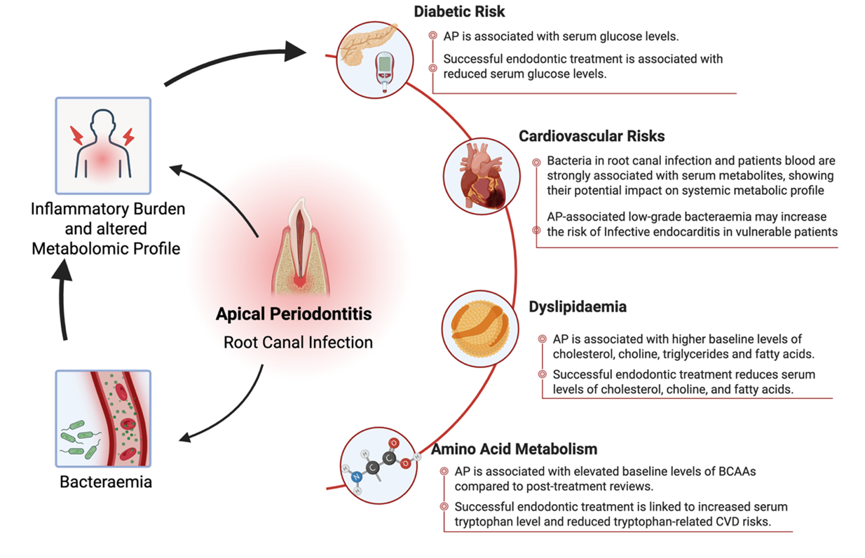 Root Canal Treatment: A Game-Changer for Whole-Body Health