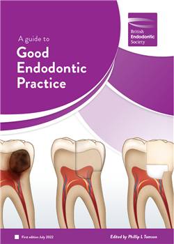 A Guide to Good Endodontic Practice